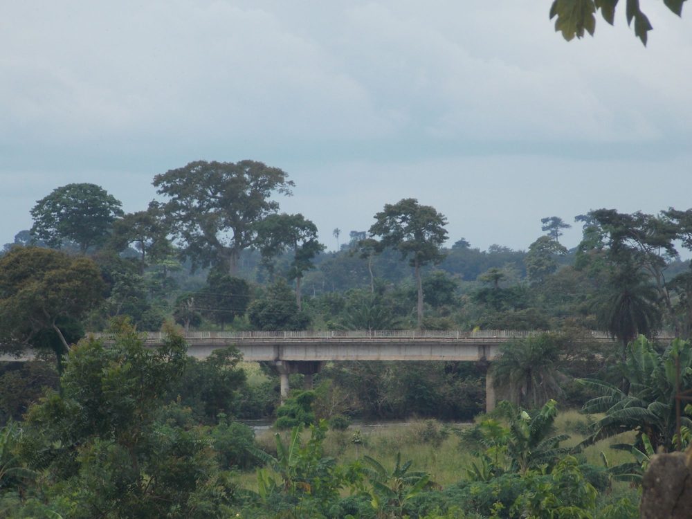 Pont sur une rivière en pleine forêt, région de Soubré