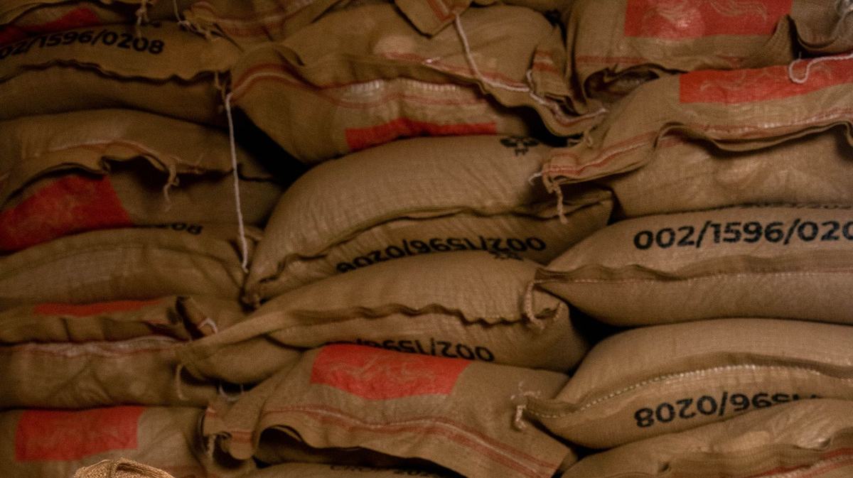 Sacs de jute de cacao prêts à l'expédition